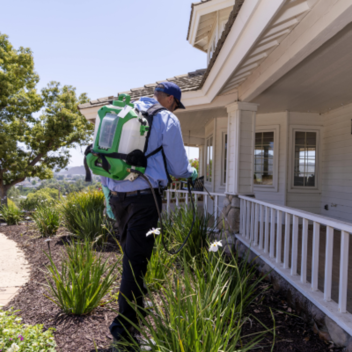Corky's Pest Control - Downey, CA