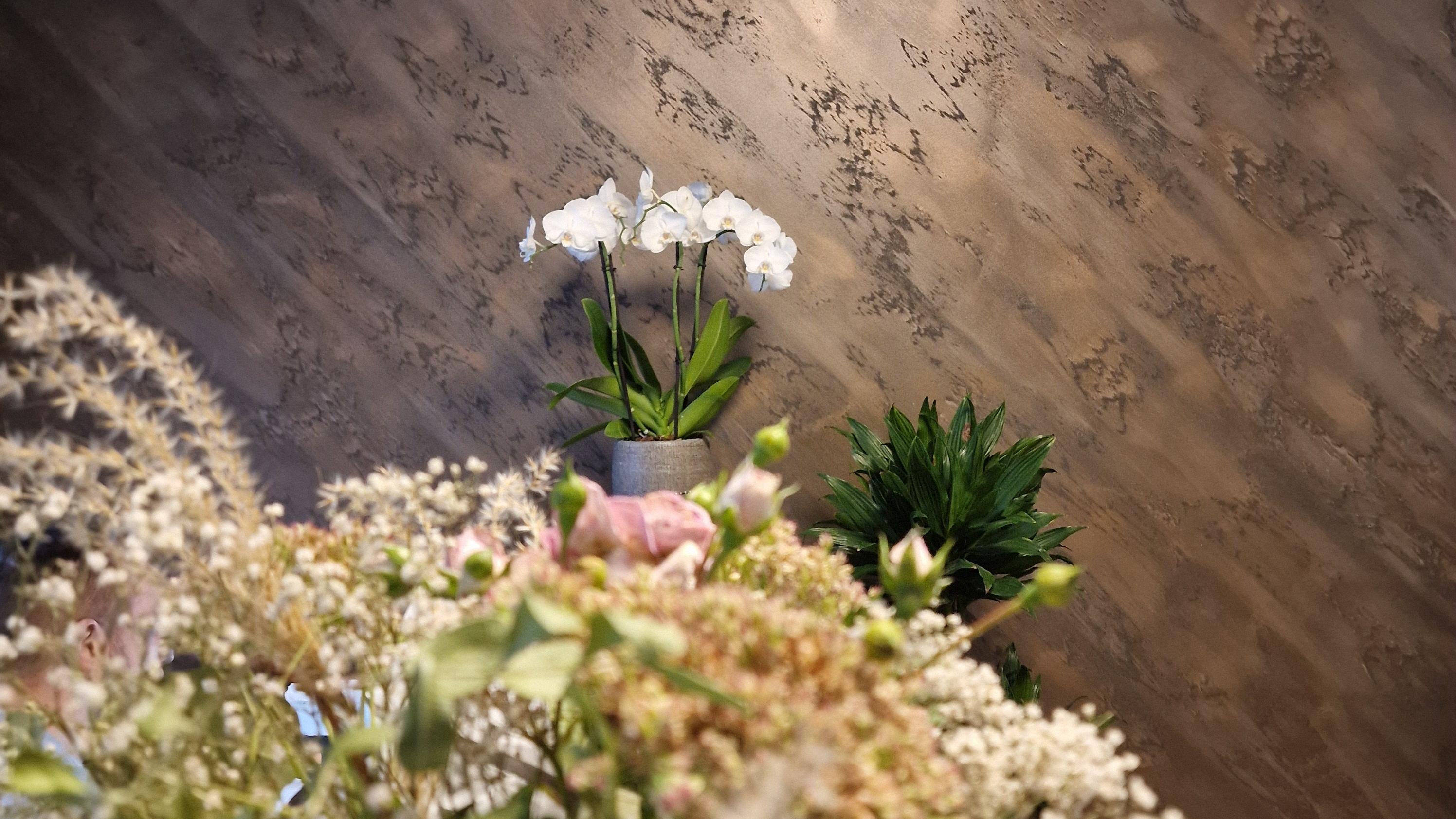 Physiotherapie Elisabeth Gerlach, Wurzner Straße in Leipzig