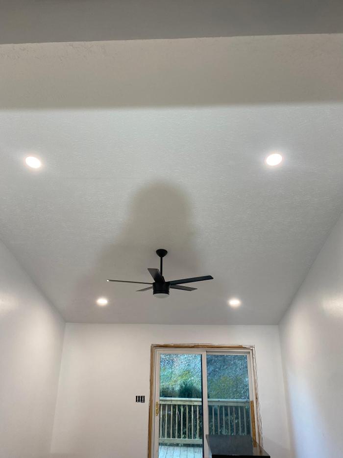 Luminous Electric Image