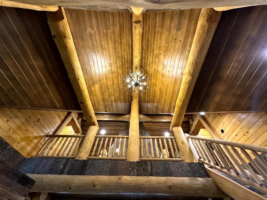 Luminous Electric Image