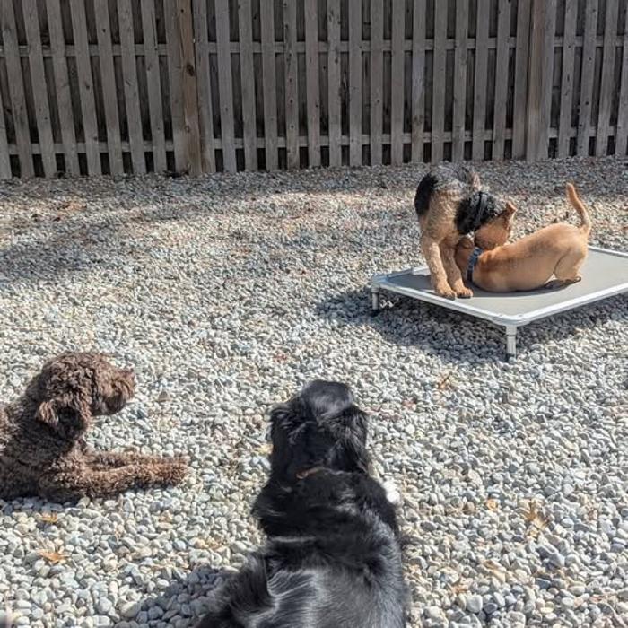 Fetch! Pet Care of West Trenton and Yardley - Trenton, NJ