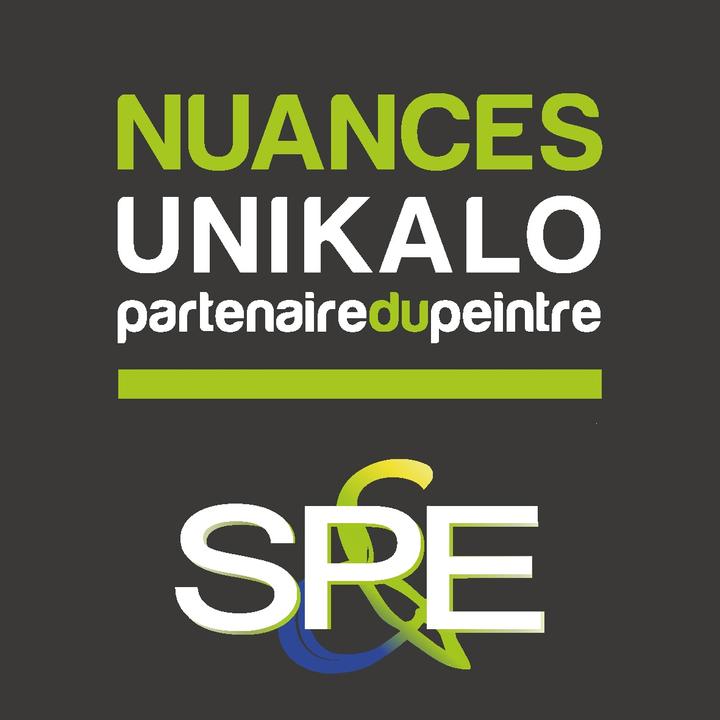 Nuances Unikalo SPE Mulhouse papiers peints (détail)