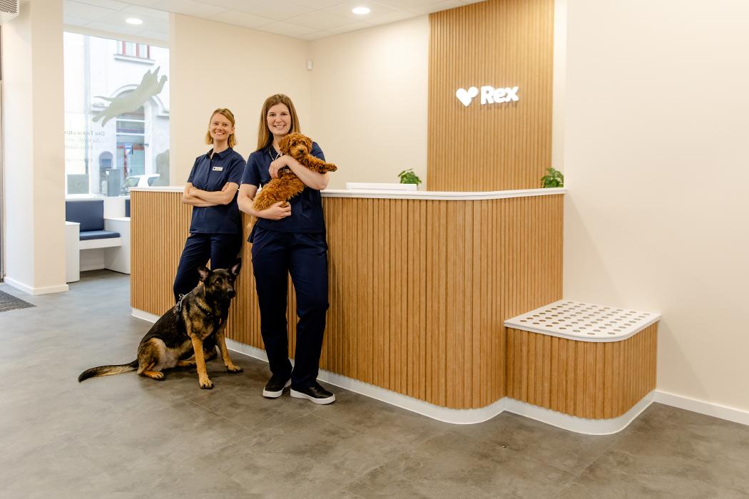 Rex Tierarztpraxis München-Schwabing, Hohenzollernstraße in München