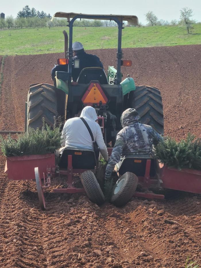 Showers Tree Farm - Aspers, PA