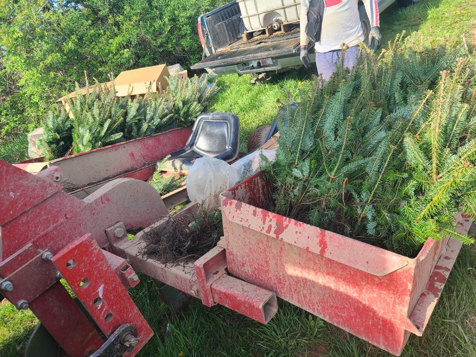 Showers Tree Farm - Aspers, PA