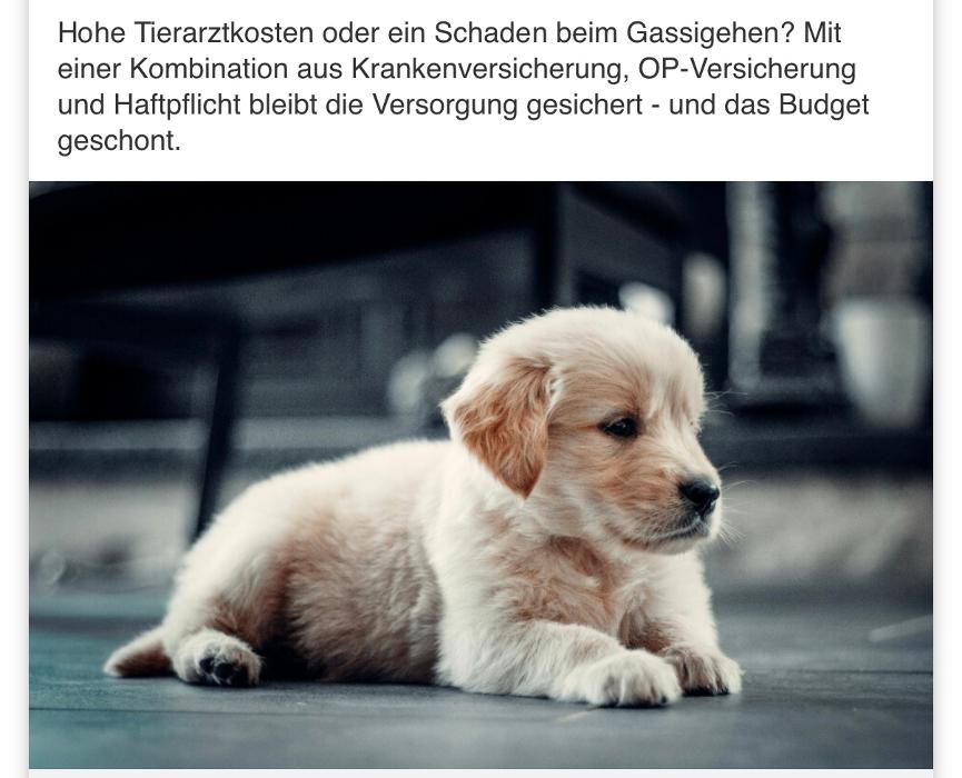 Baloise - Sascha Müller in Rheine, Paschenaustraße in Rheine