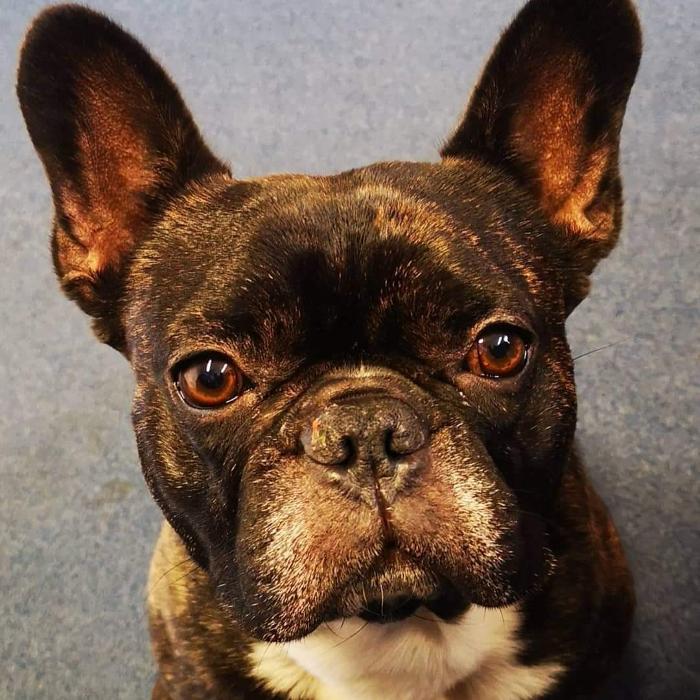 Baloise - Generalagentur Holger Heinrich in Duisburg, Mülheimer Straße in Duisburg