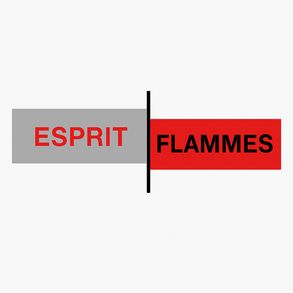 Esprit Flammes poêles à bois