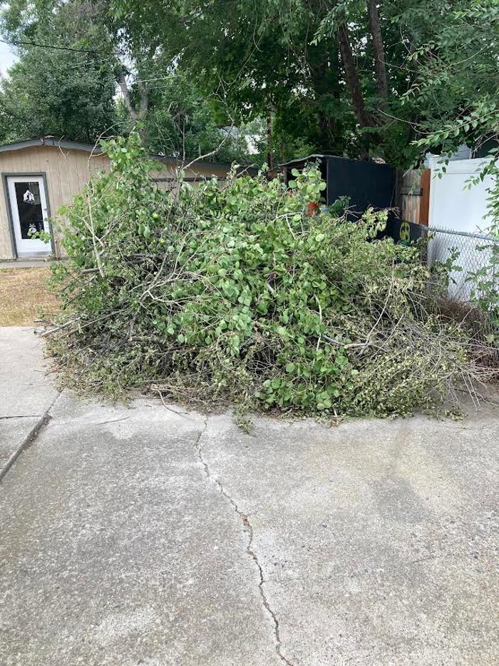 Ballistic Junk Removal Image