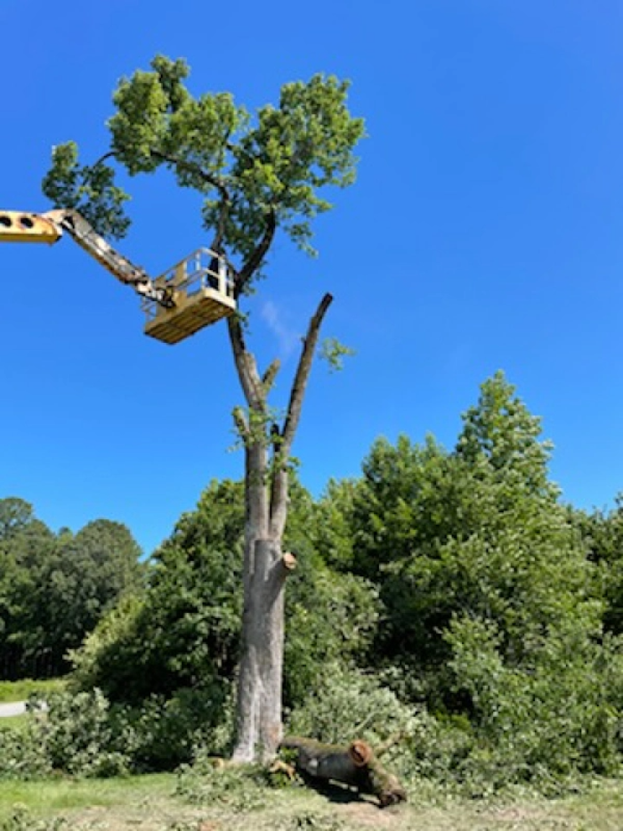 T & T Service - Eure, NC