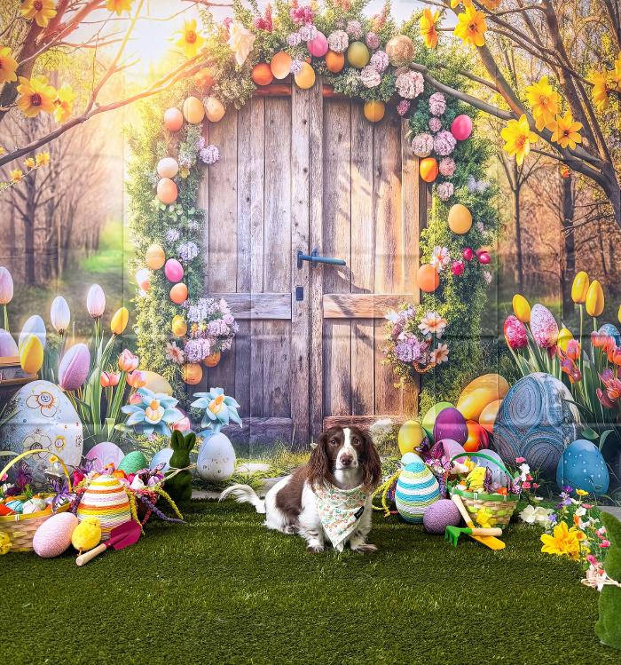 Aloha Pet Resort & Spa