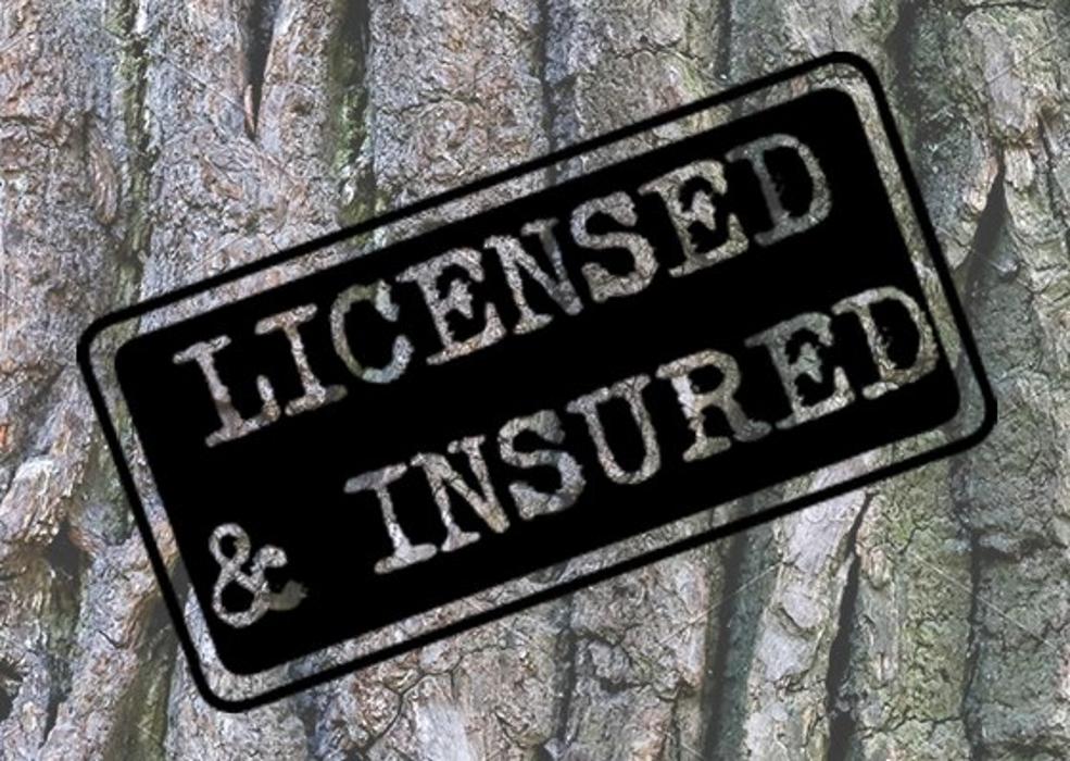 On Point Tree - New City, NY