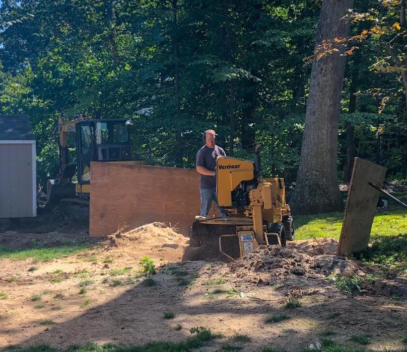 On Point Tree - New City, NY