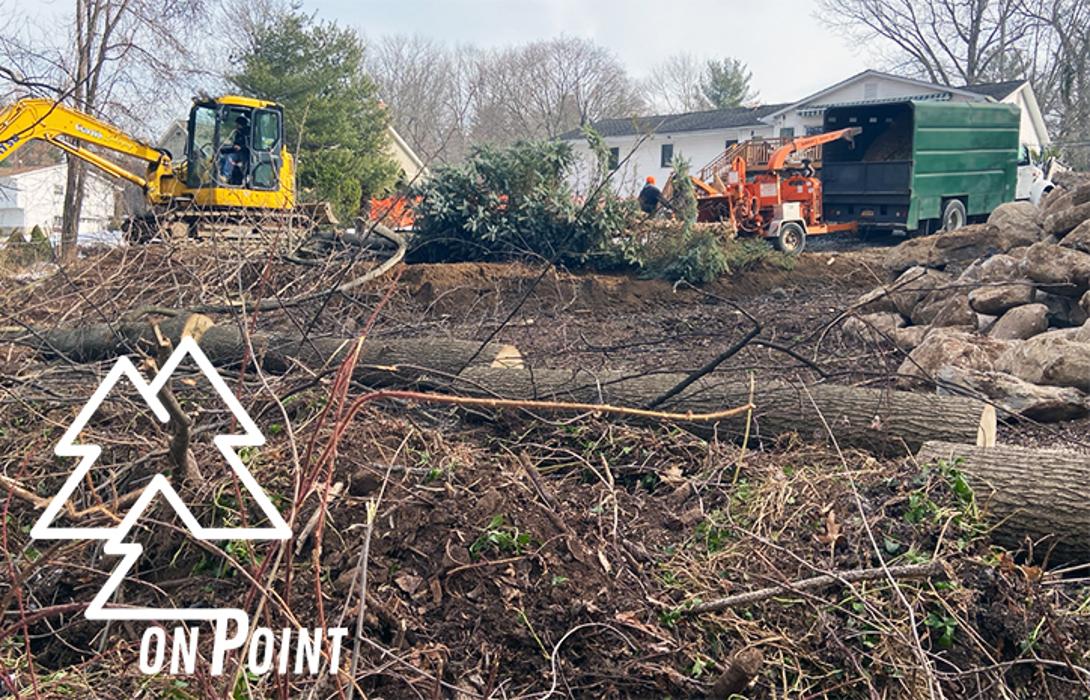 On Point Tree - New City, NY