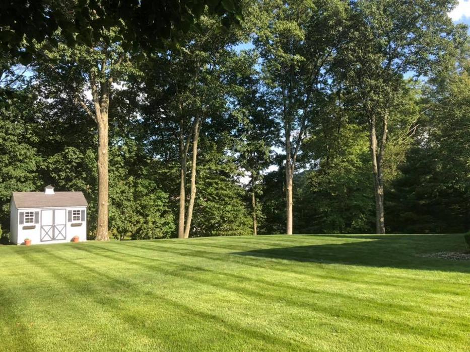 On Point Tree - New City, NY