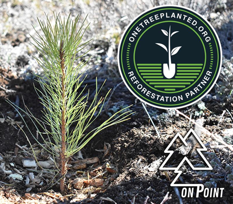 On Point Tree - New City, NY