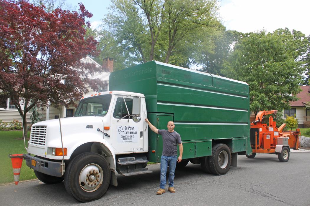 On Point Tree - New City, NY