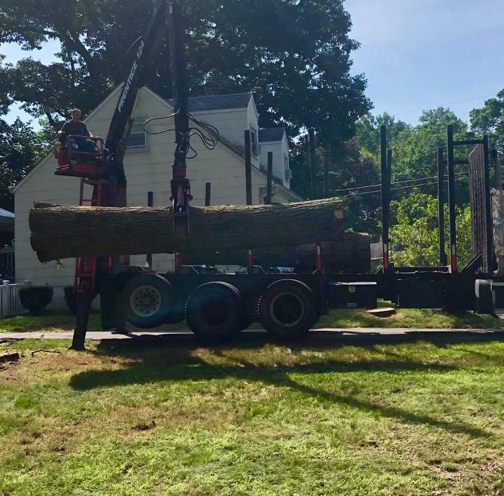 On Point Tree - New City, NY