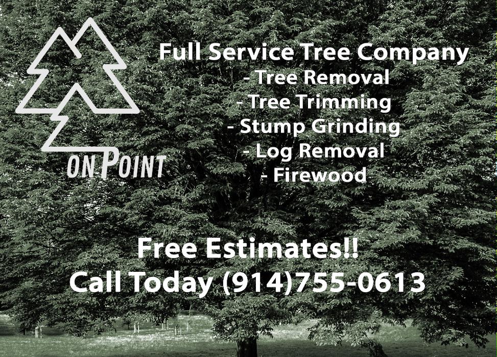 On Point Tree - New City, NY