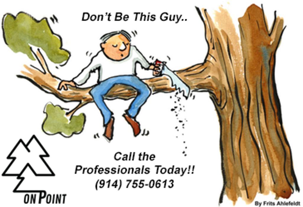 On Point Tree - New City, NY