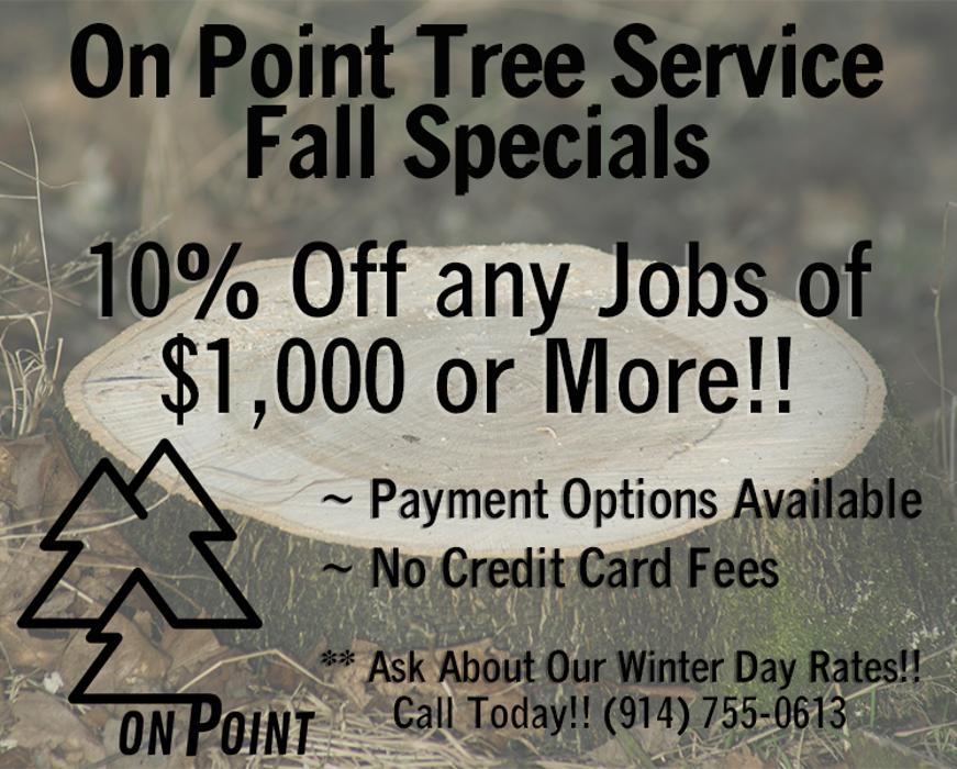 On Point Tree - New City, NY