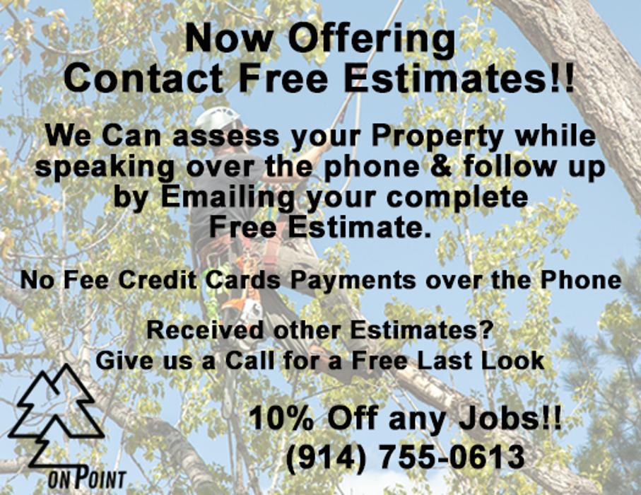 On Point Tree - New City, NY