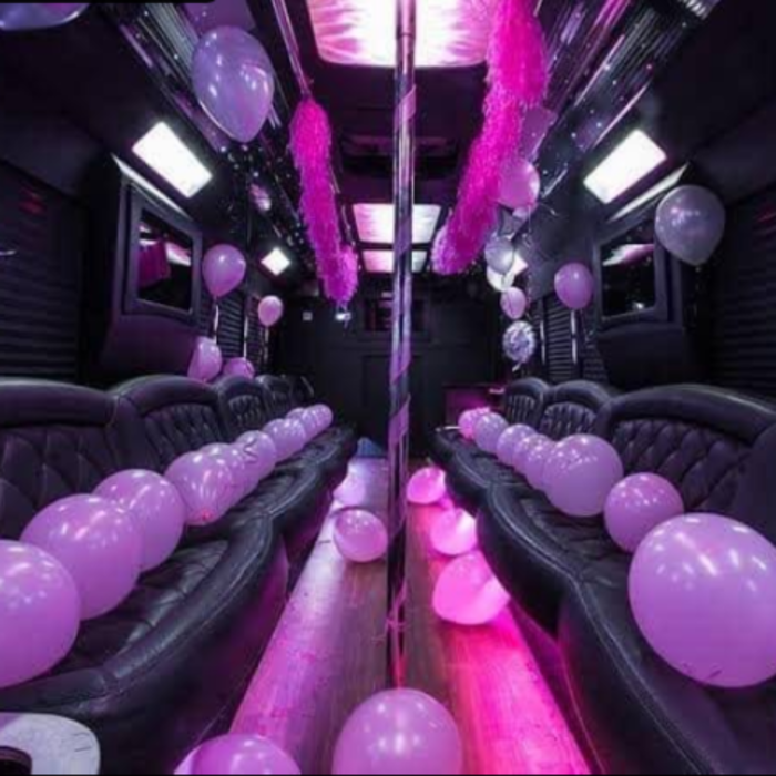 NYC Ultimate Party Bus Rental - Staten Island, NY