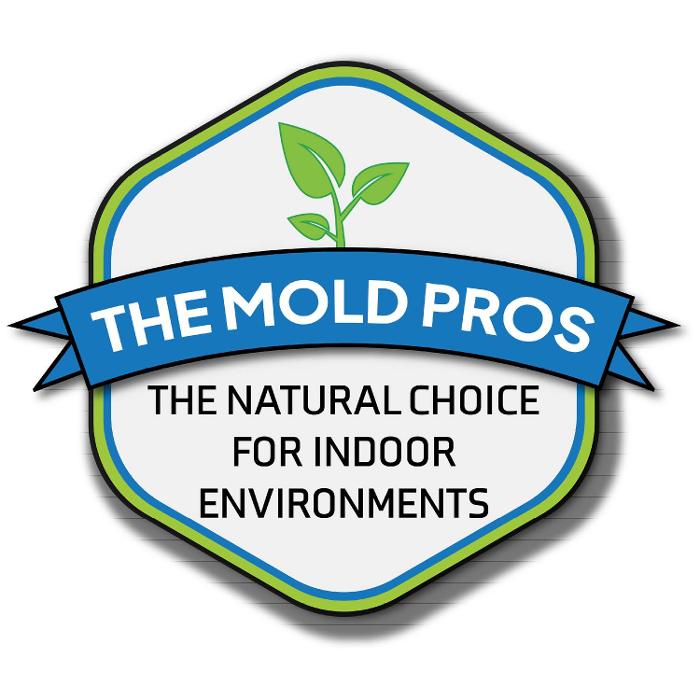 The Mold Pros, LLC