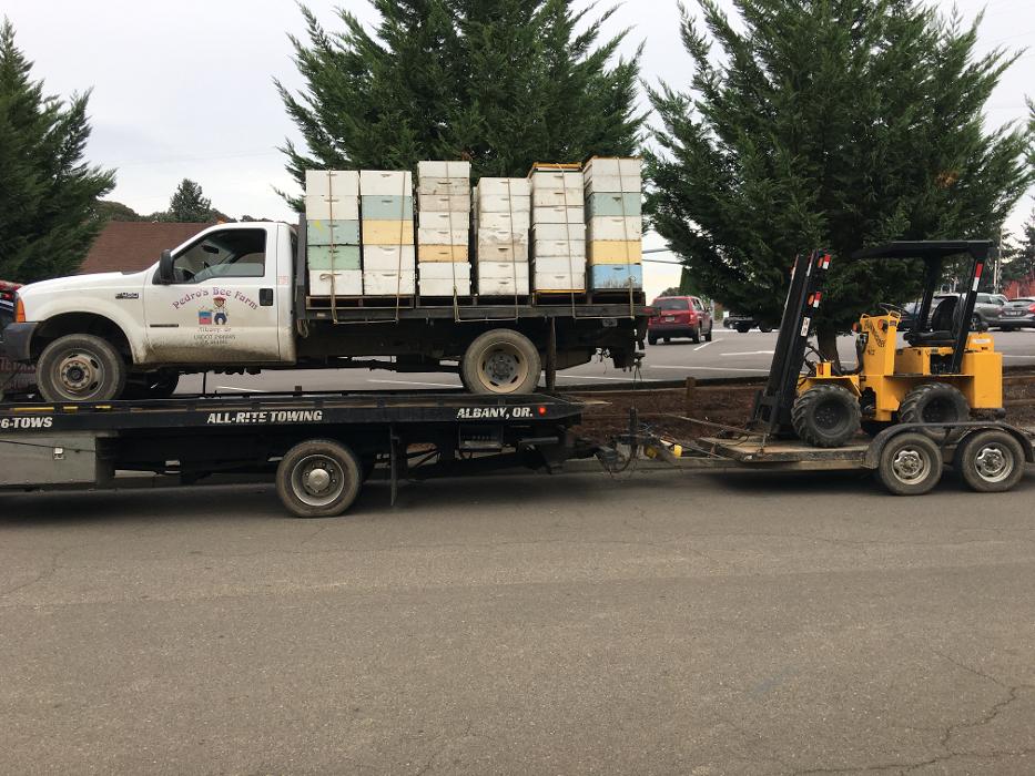 All-Rite Towing and Recovery - Albany, OR