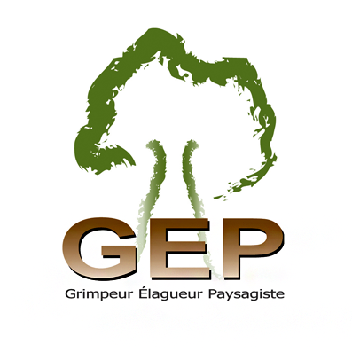 GEP Services Expert