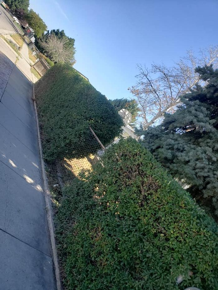 801 Landscape LLC salt lake city