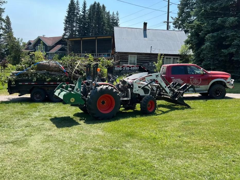 BearDance Forestry Logo