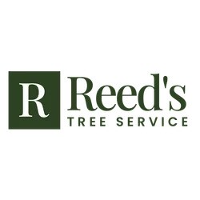 Reed's Tree Service - Grapeland, TX