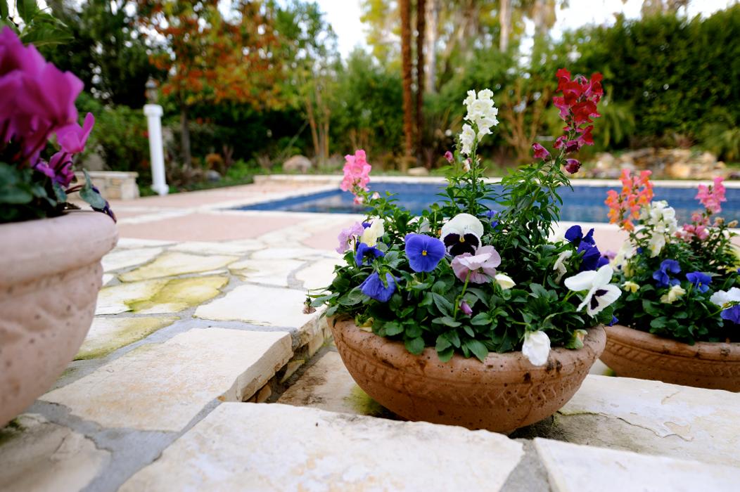 Alma Gardening Company Inc. - Pacoima, CA