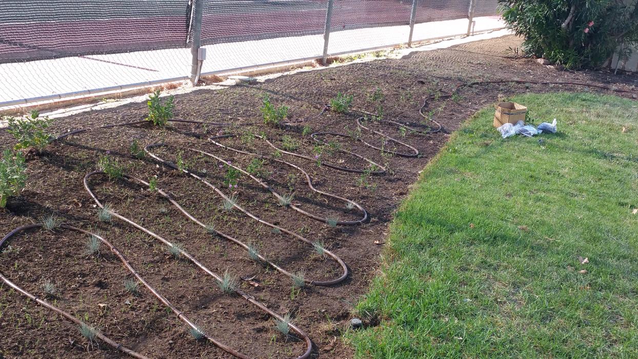 Alma Gardening Company Inc. - Pacoima, CA
