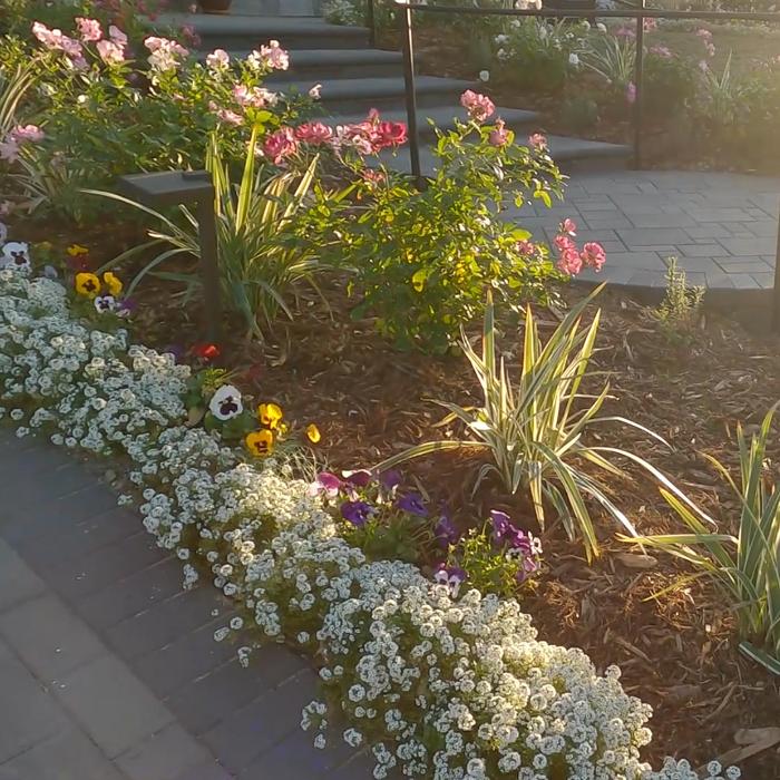 Alma Gardening Company Inc. - Pacoima, CA