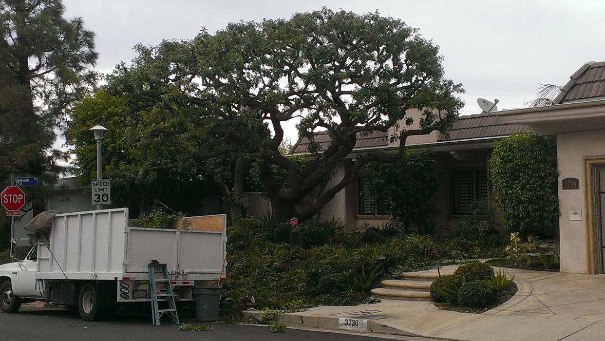 Alma Gardening Company Inc. - Pacoima, CA