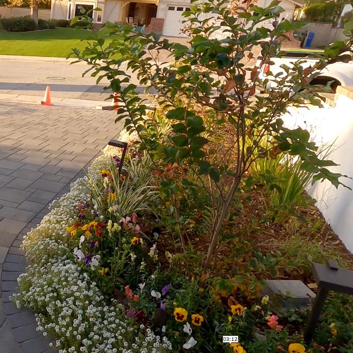 Alma Gardening Company Inc. - Pacoima, CA