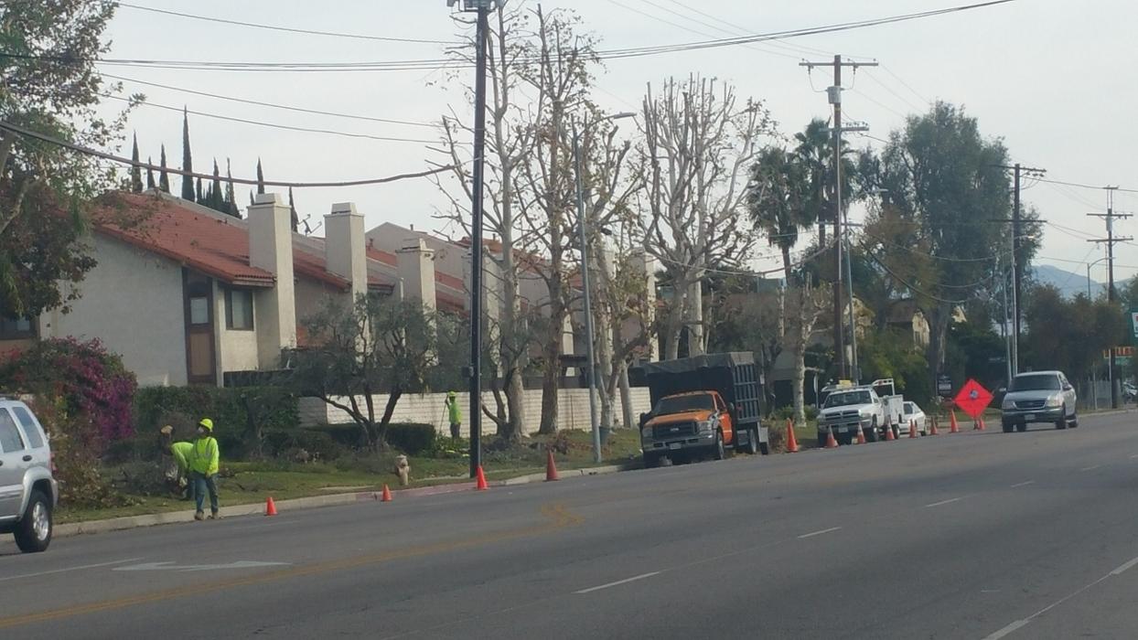 Alma Gardening Company Inc. - Pacoima, CA