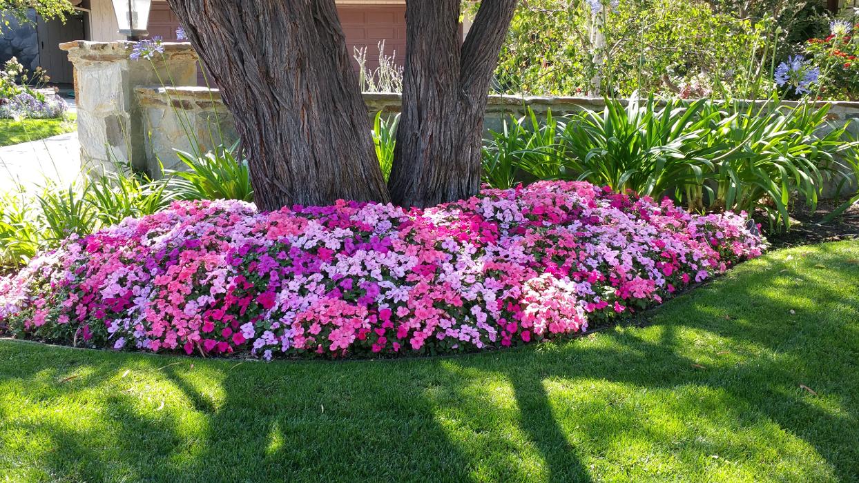 Alma Gardening Company Inc. - Pacoima, CA