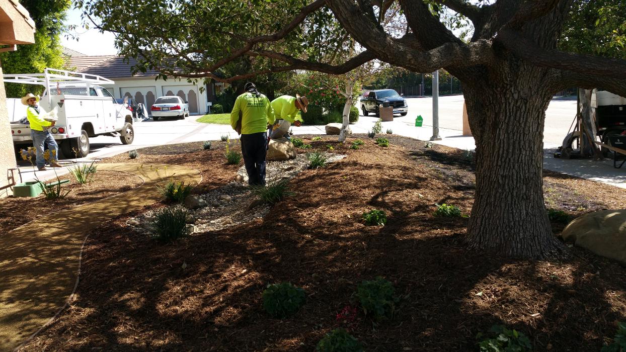 Alma Gardening Company Inc. - Pacoima, CA