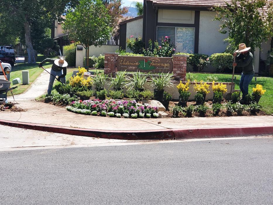 Alma Gardening Company Inc. - Pacoima, CA