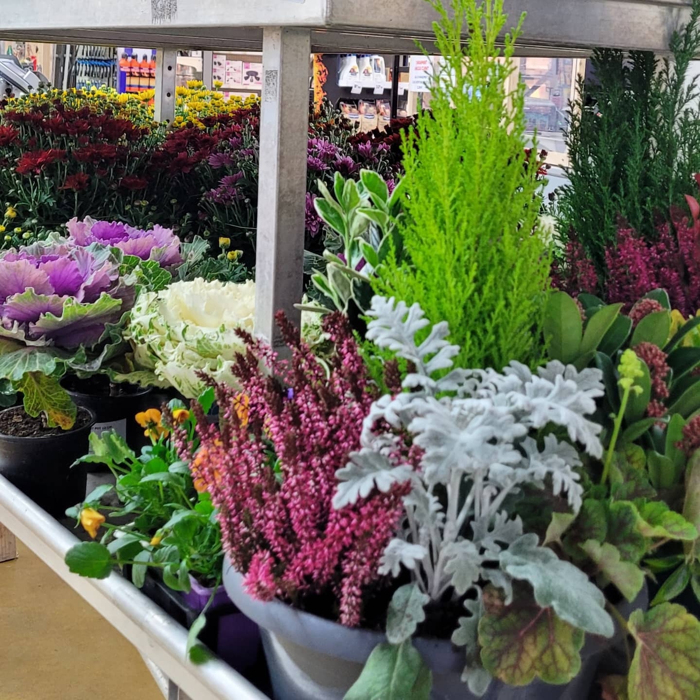 galerie image galerie image