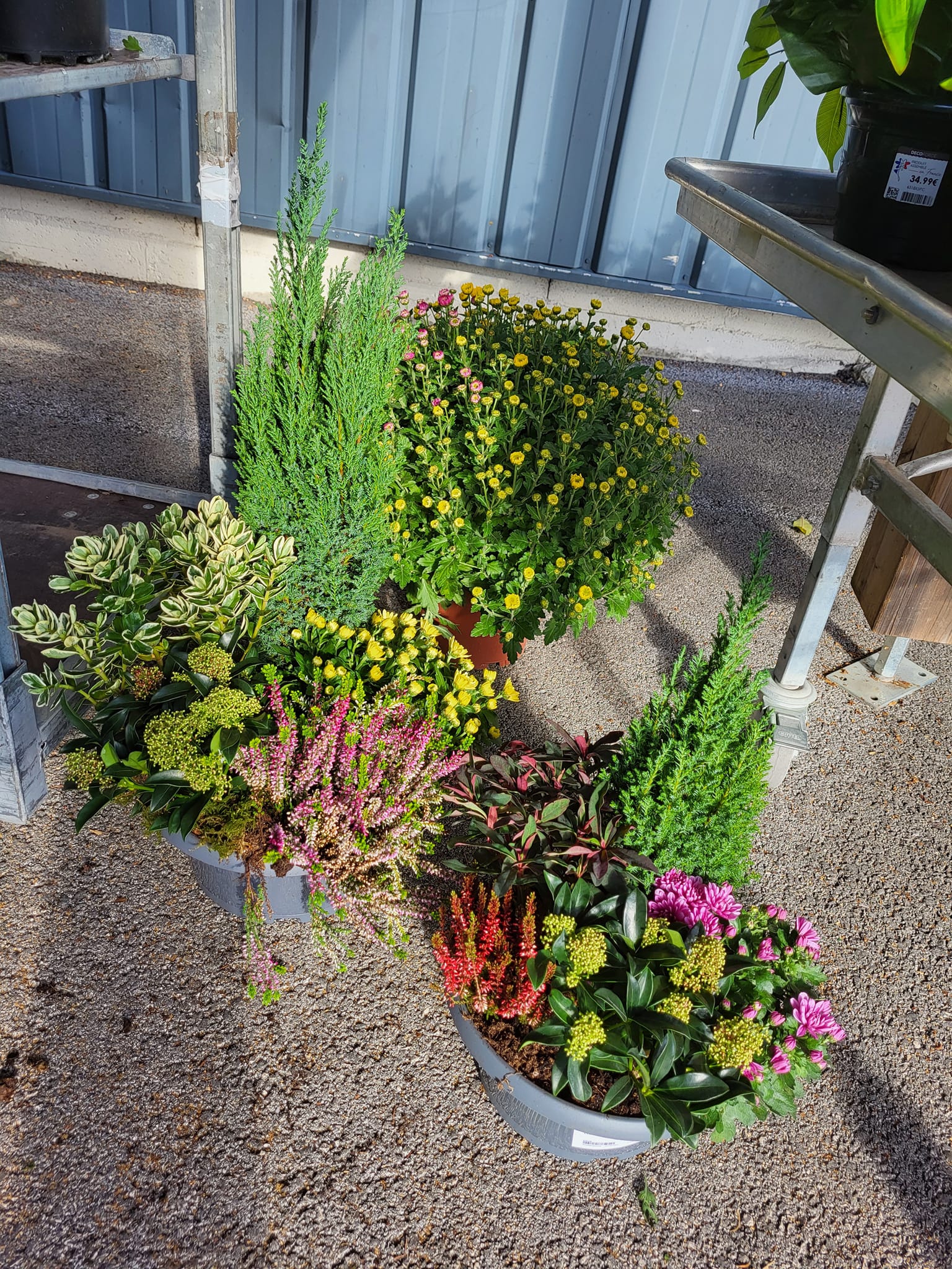 galerie image galerie image