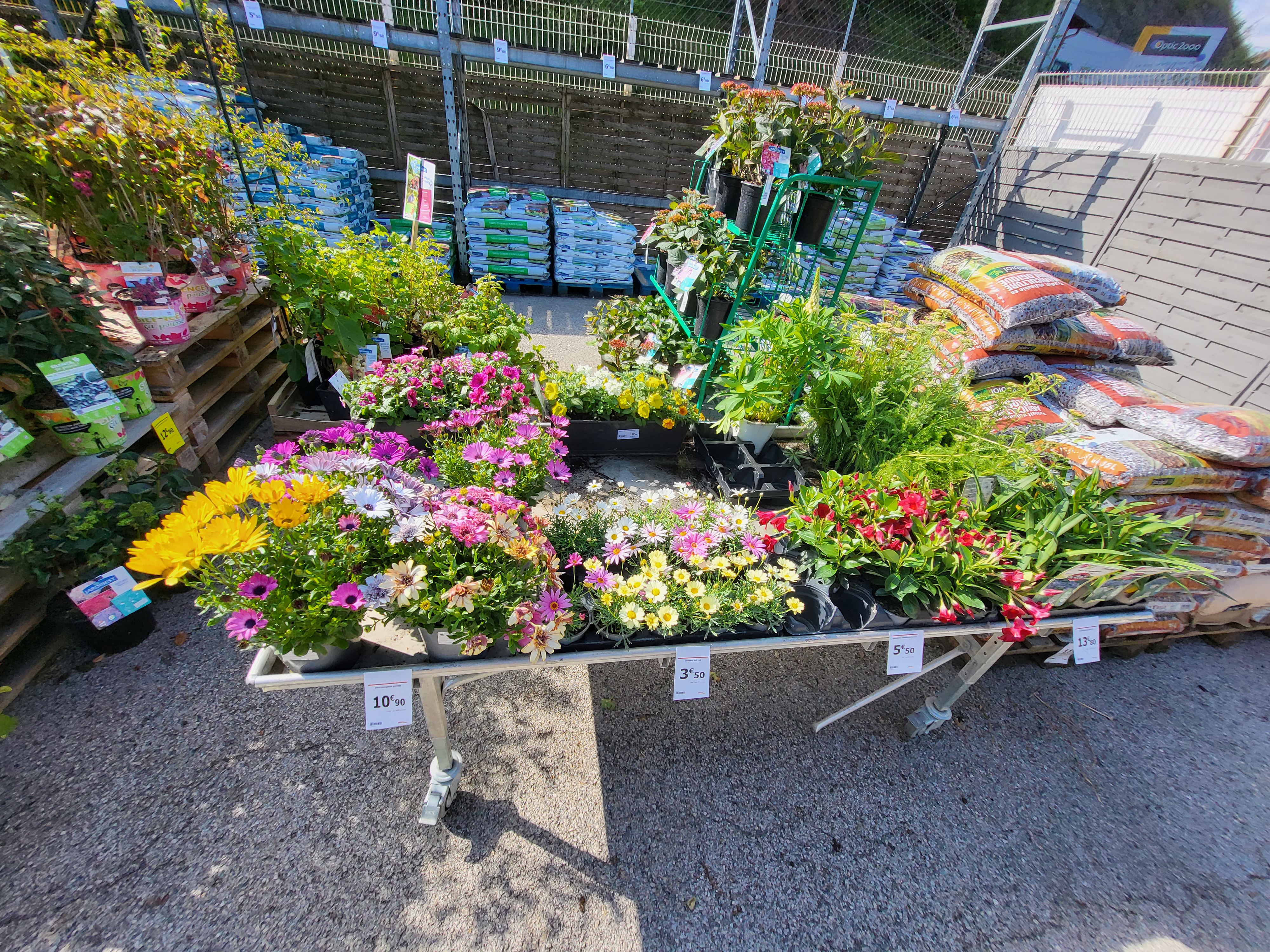 galerie image galerie image