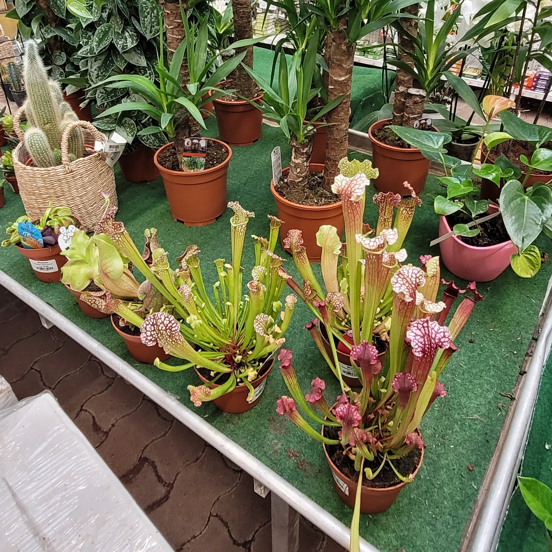 galerie image galerie image