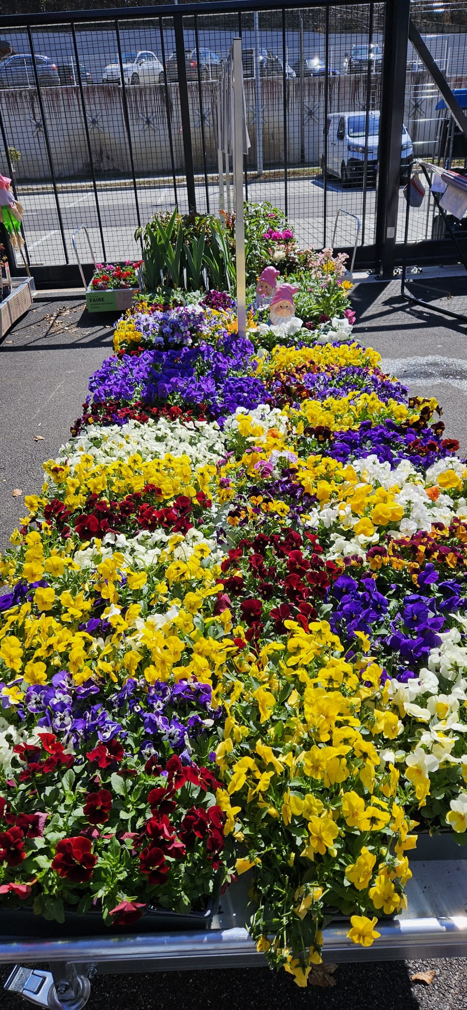 galerie image galerie image