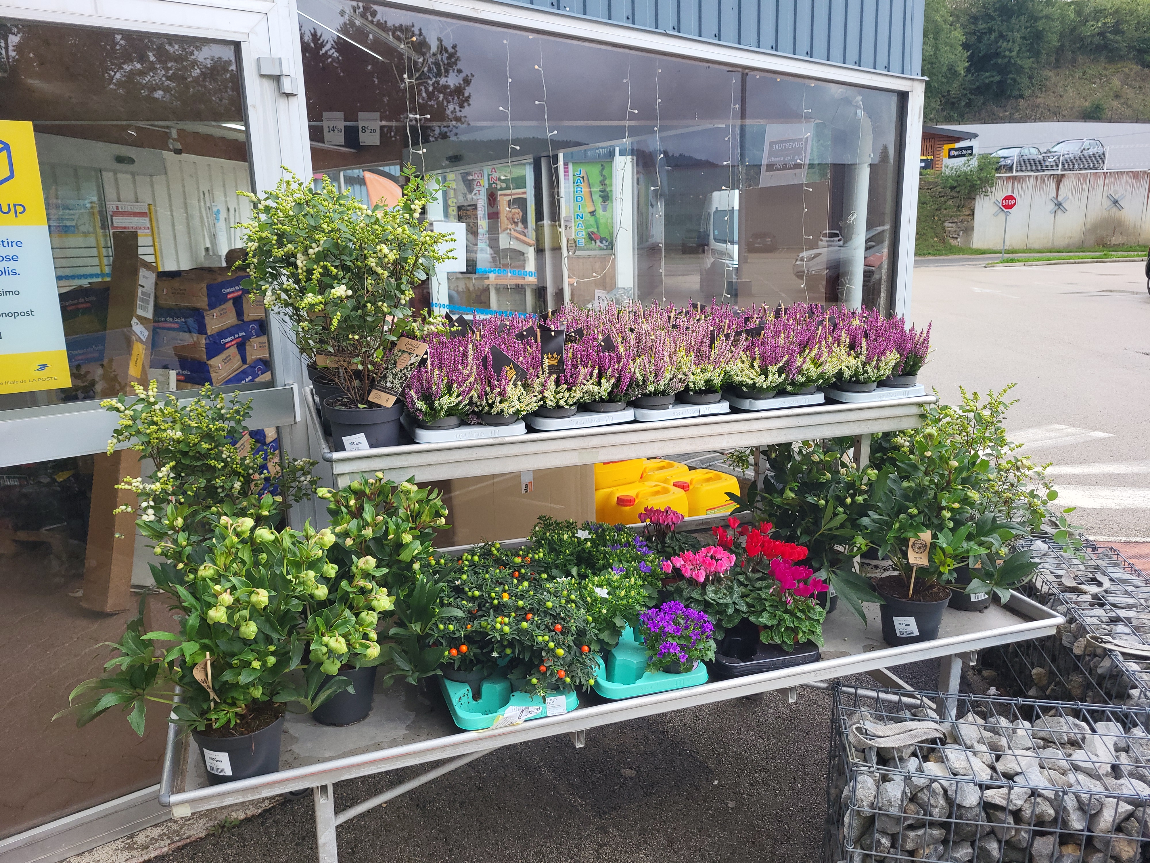 galerie image galerie image