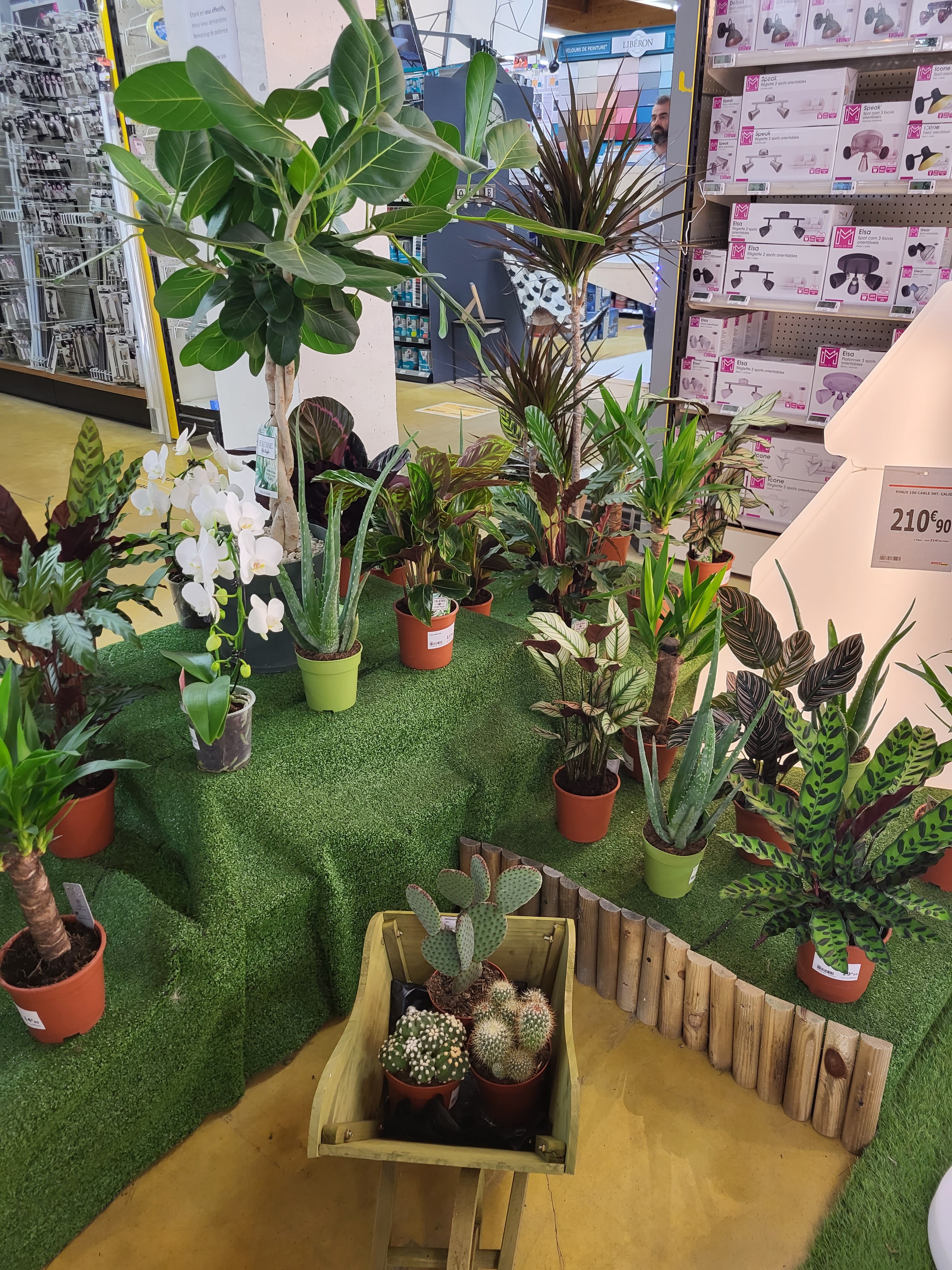 galerie image galerie image