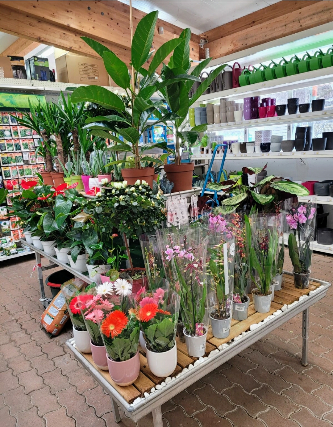 galerie image galerie image